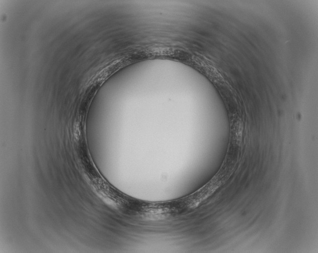 X0000087640746200705241239