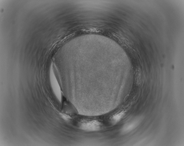 X0000087640747200705241239