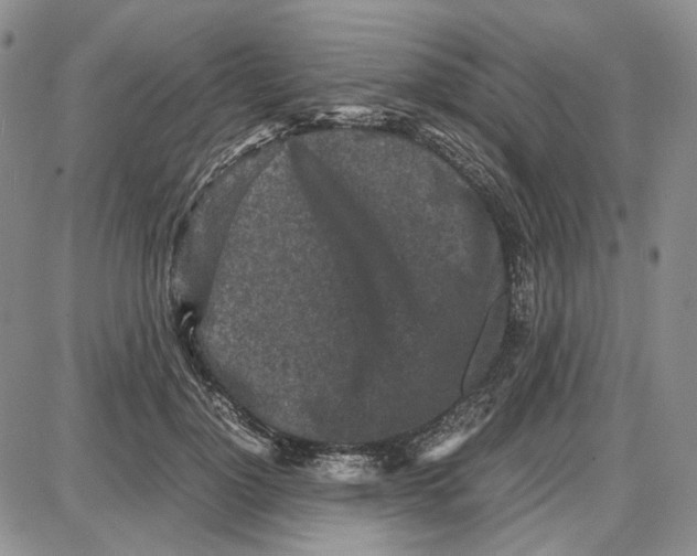 X0000087640748200705241239