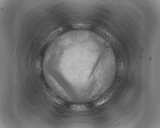 X0000087640749200705241239