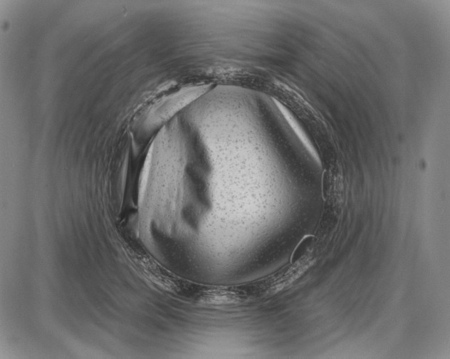 X0000087640750200705241239