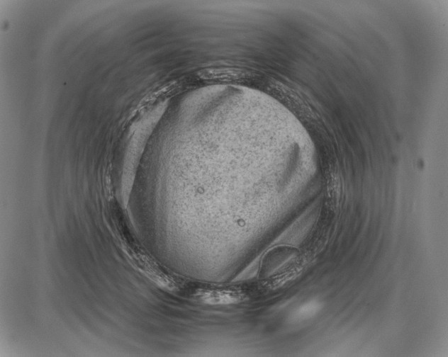 X0000087640751200705241239