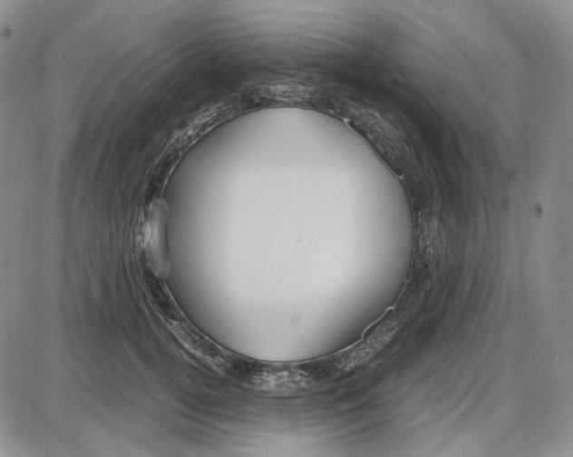 X0000087640752200705241239