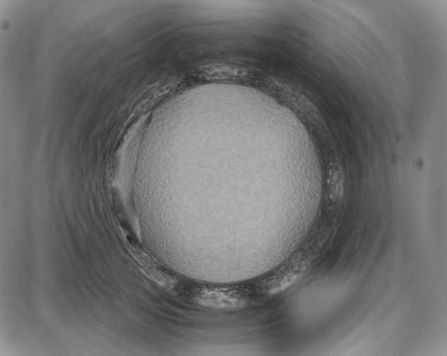 X0000087640753200705241239