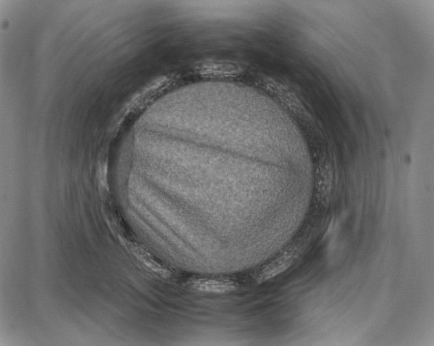 X0000087640755200705241239