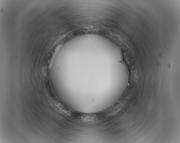 X0000087640756200705241239