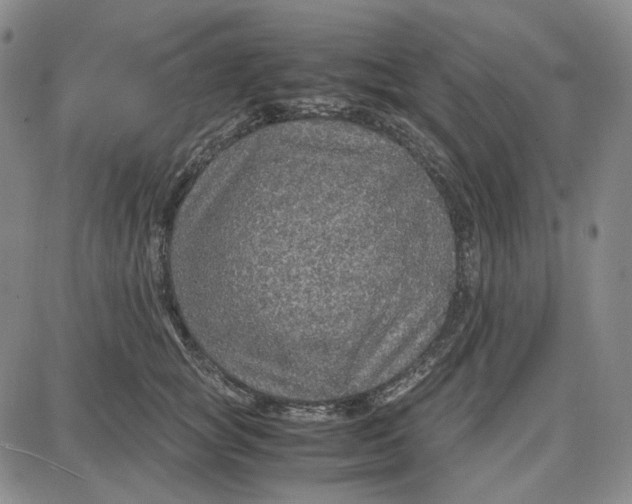 X0000087640757200705241239