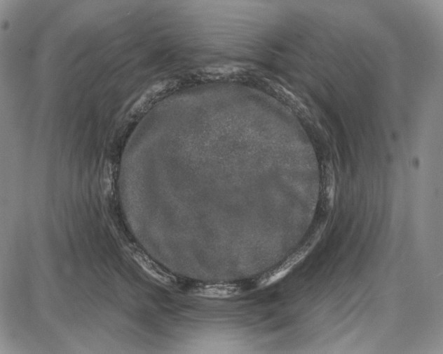 X0000087640758200705241239