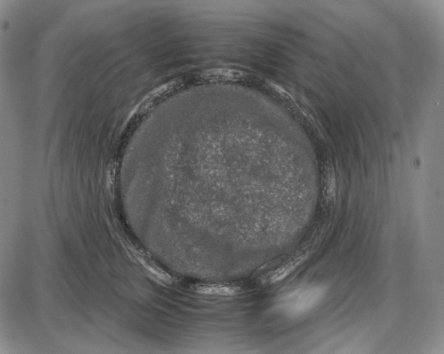 X0000087640759200705241239