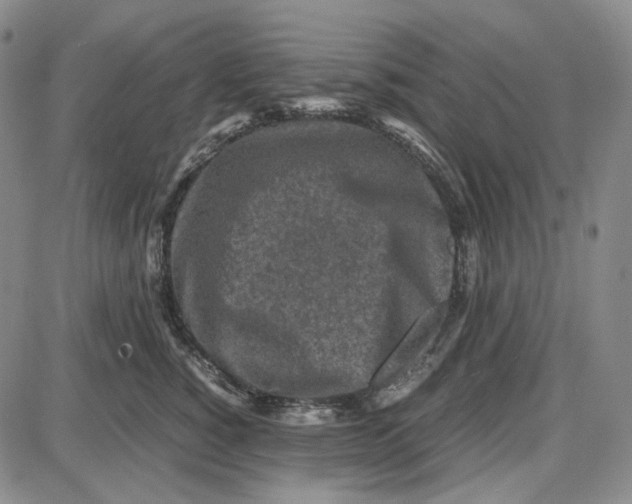 X0000087640760200705241239