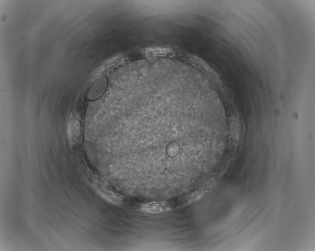 X0000087640761200705241239