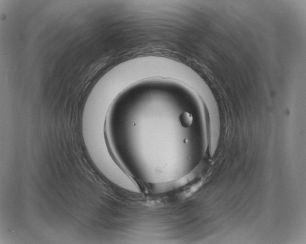 X0000087640762200705241239