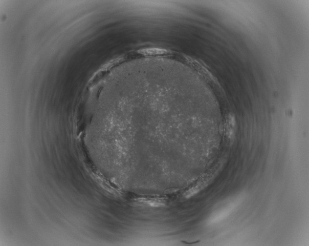 X0000087640763200705241239