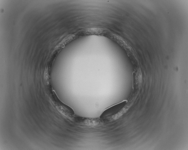 X0000087640764200705241239