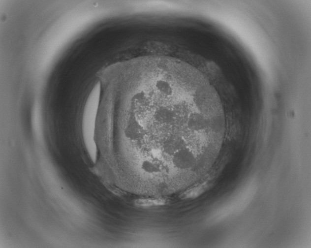 X0000087640765200705241239