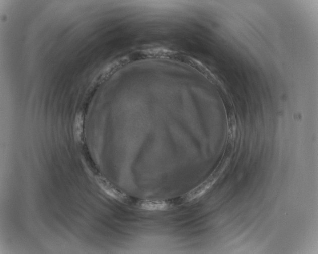 X0000087640767200705241240