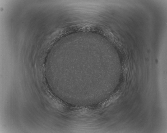 X0000087640769200705241239