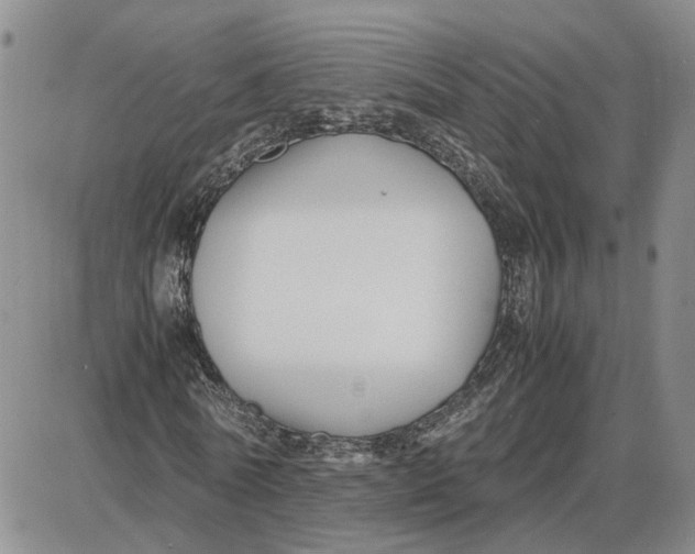 X0000087640770200705241239