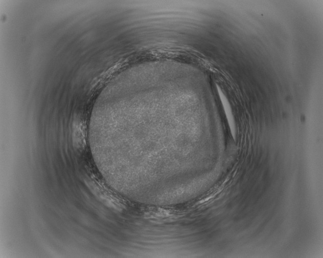 X0000087640772200705241239