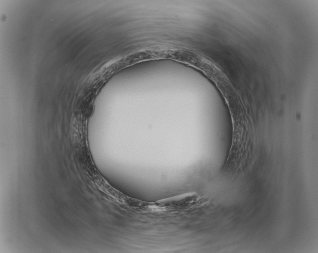 X0000087640773200705241239