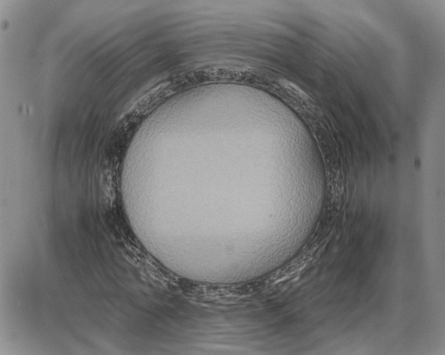 X0000087640774200705241239