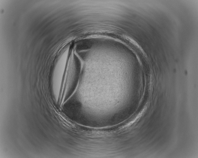 X0000087640777200705241239