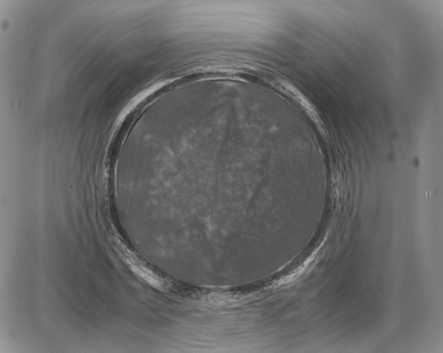 X0000087640779200705241239