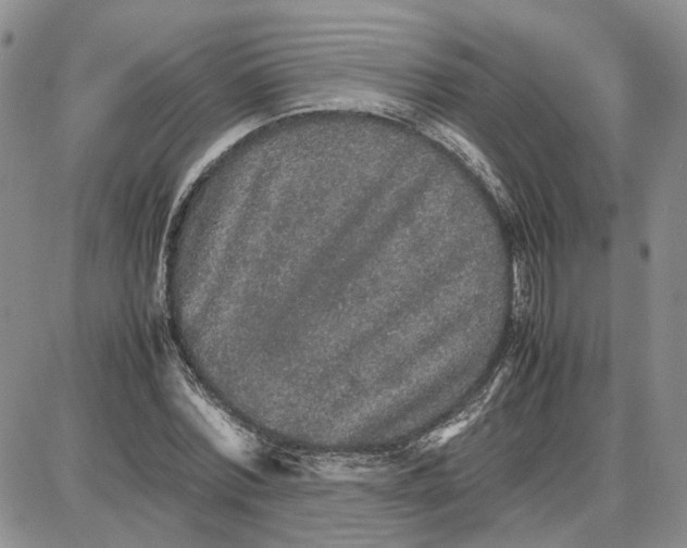 X0000087640780200705241239