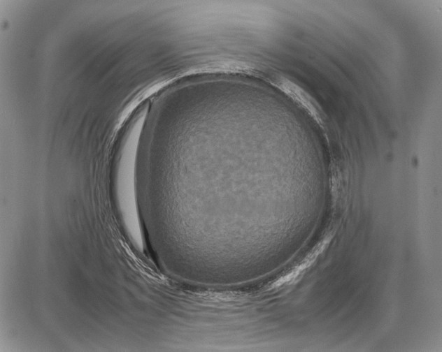 X0000087640781200705241239