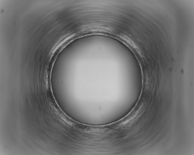 X0000087640782200705241239