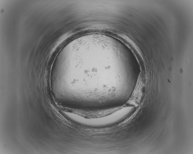 X0000087640783200705241239