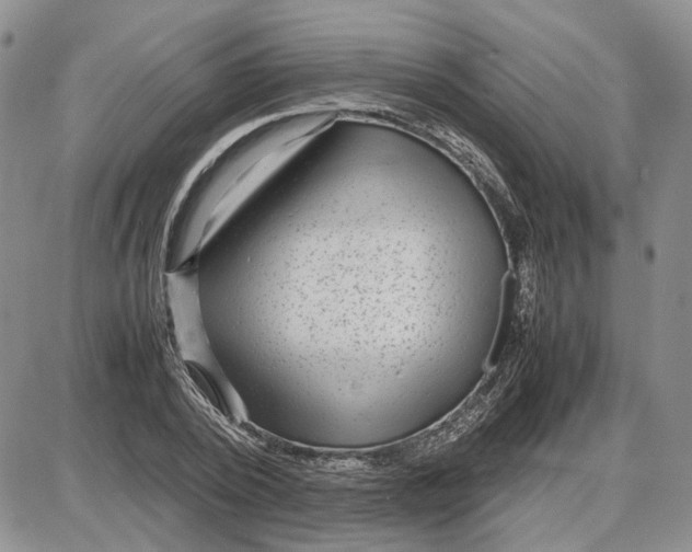 X0000087640784200705241239