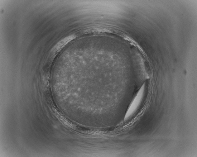 X0000087640785200705241238