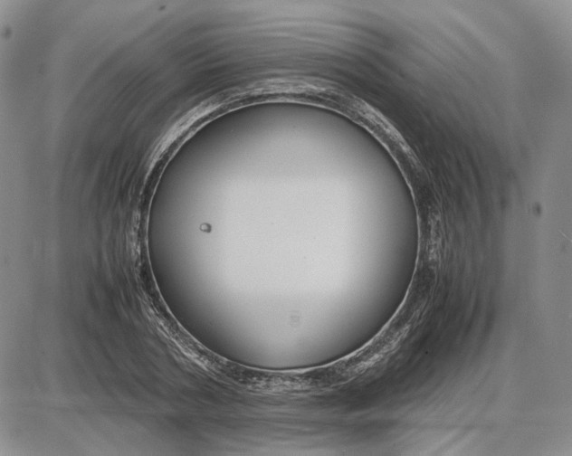 X0000087640786200705241238