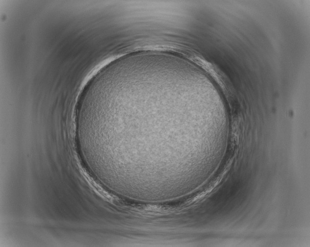 X0000087640787200705241238