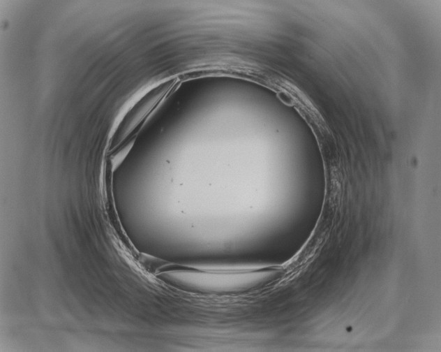 X0000087640788200705241238