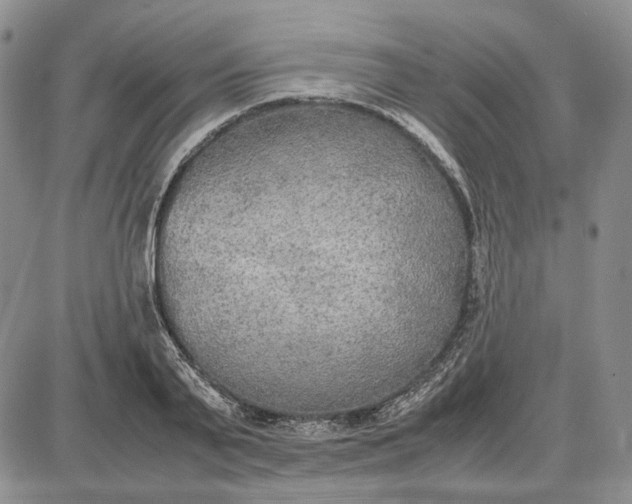 X0000087640791200705241238