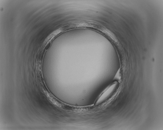 X0000087640793200705241238