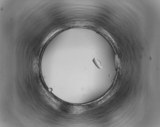 X0000087640794200705241238