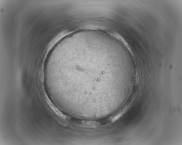 X0000087640795200705241238