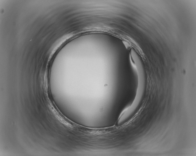 X0000087640796200705241238