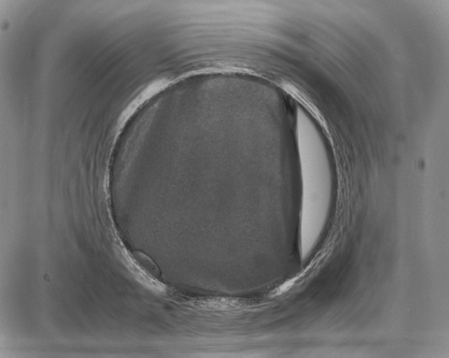 X0000087640797200705241238