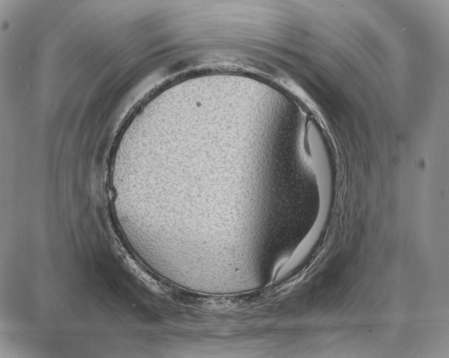 X0000087640799200705241238