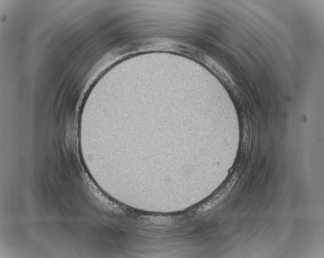 X0000087640800200705241238