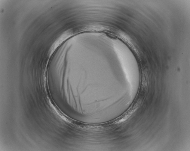 X0000087640802200705241238