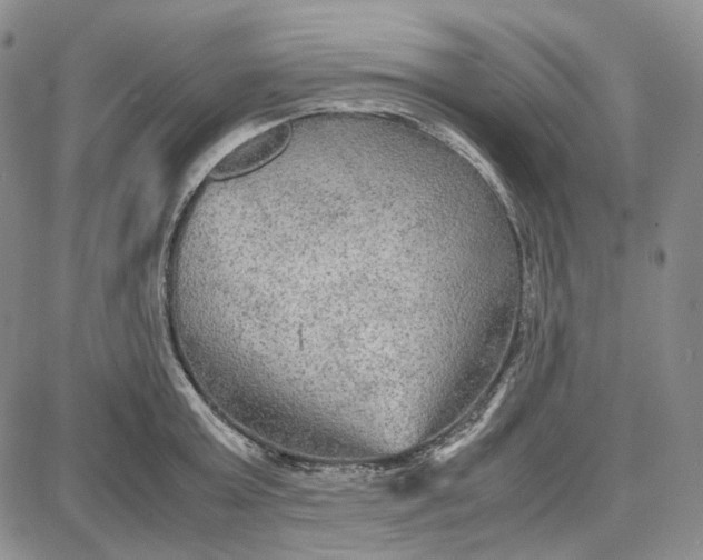 X0000087640803200705241238