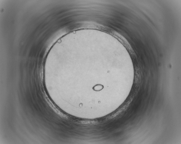 X0000087640804200705241238