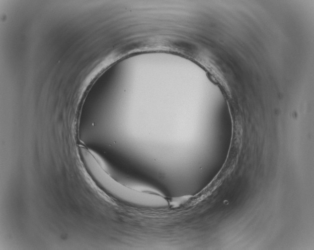 X0000087640805200705241238