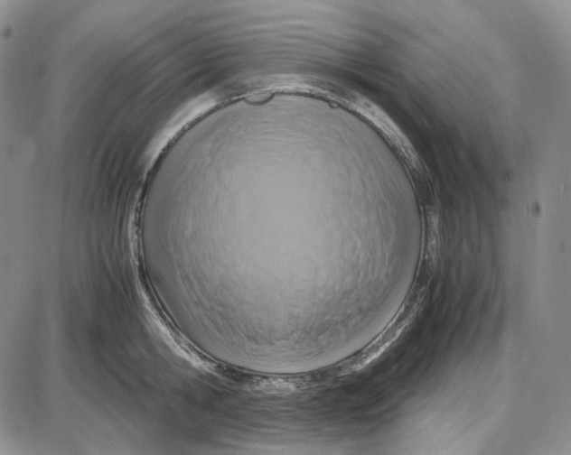 X0000087640806200705241238