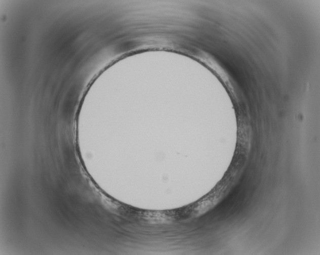 X0000087640807200705241238